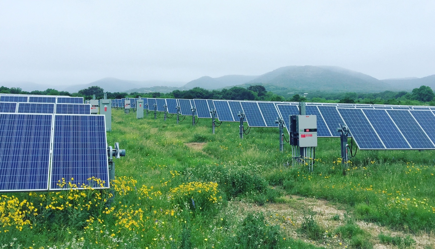 A solar farm owned by a rural Texas electric co-op.